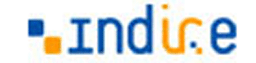 www.indire.it